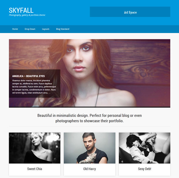 Skyfall тема WordPress
