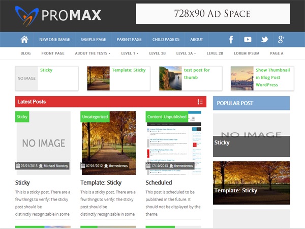 ProMax тема WordPress